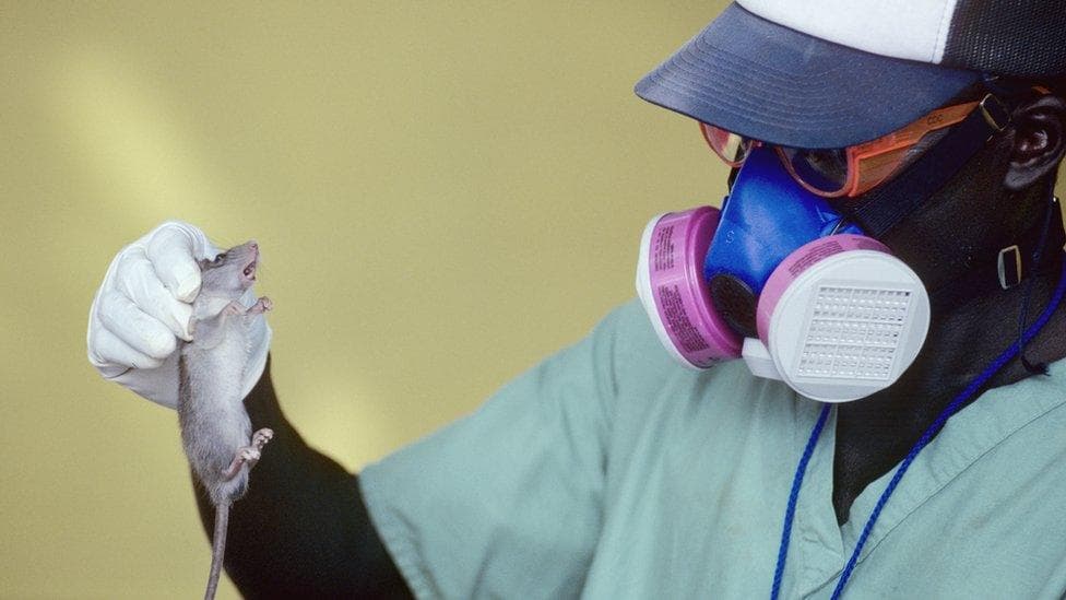 How to Protect Your Family from Lassa Fever in Nigeria